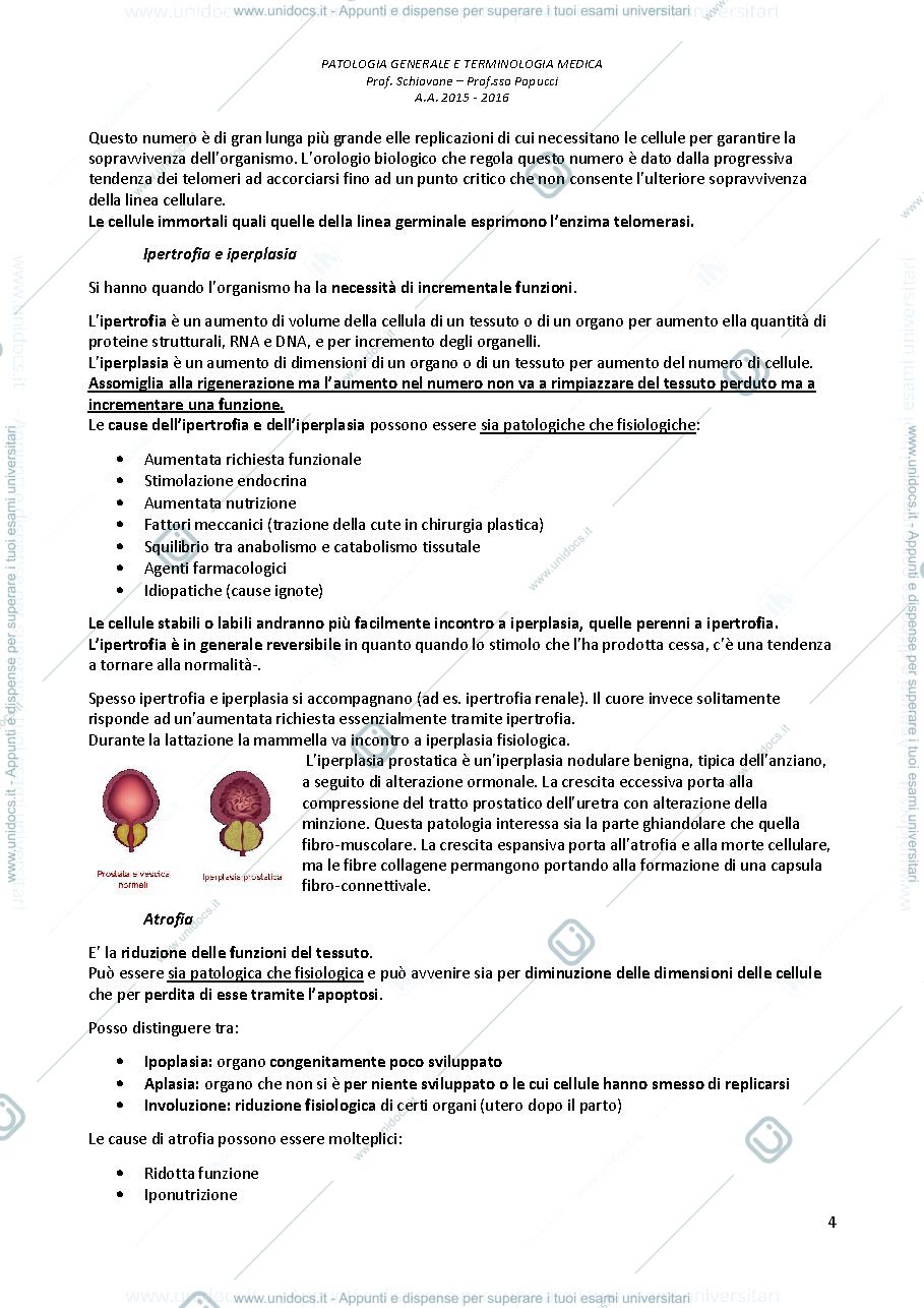 Anteprima pagina 4 — Patologia