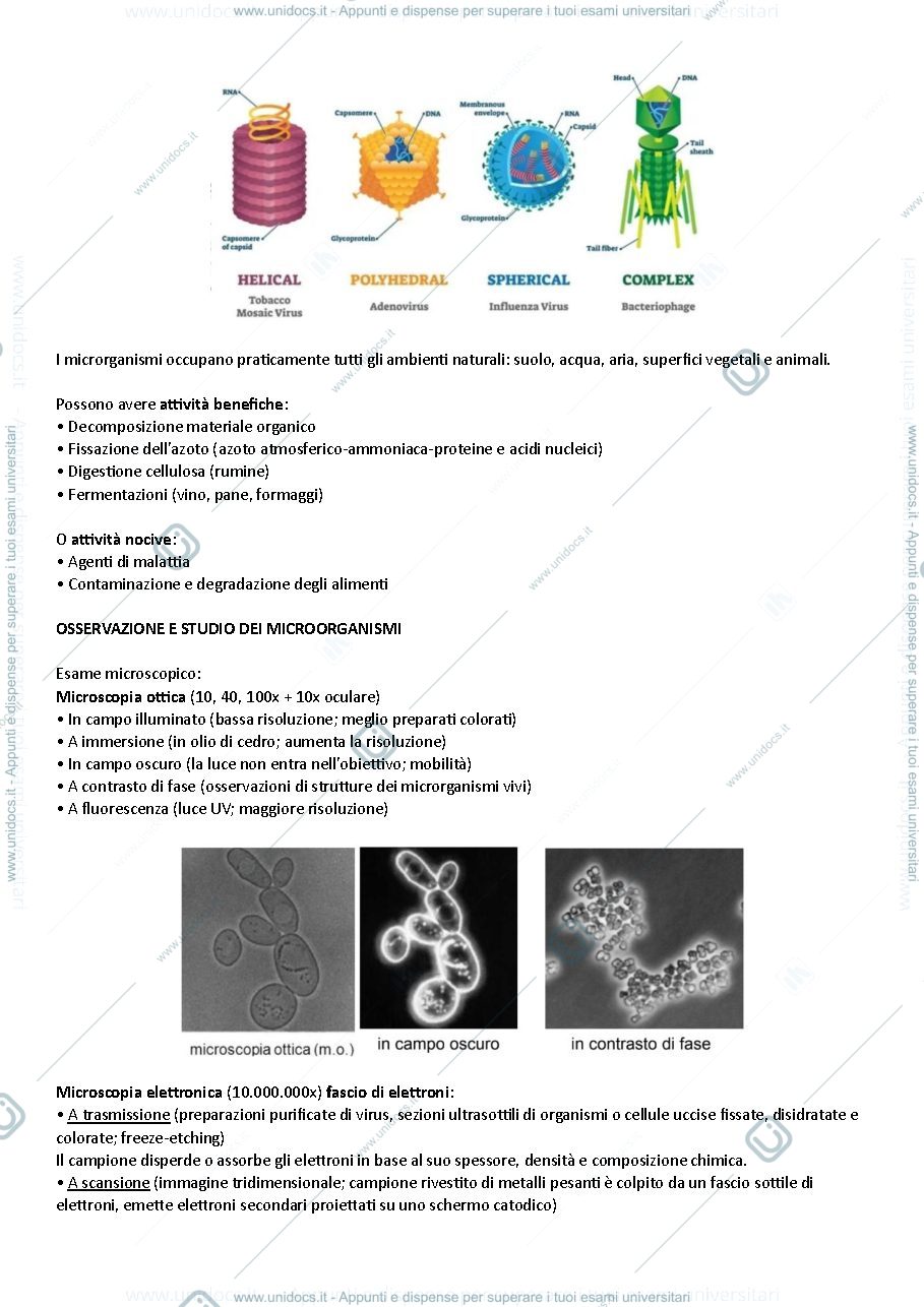 Anteprima pagina 3 — Batteriologia e Virologia veterinaria - prof. Federica Riva (2024/2025)