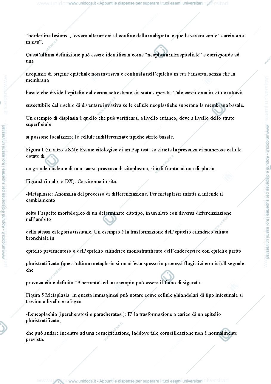 Anteprima pagina 2 — Patologia 1 anno
