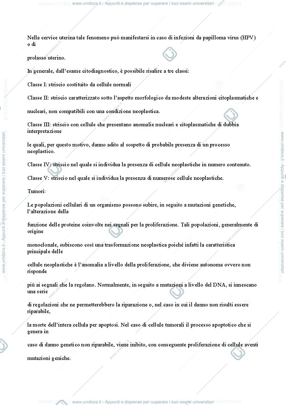 Anteprima pagina 3 — Patologia 1 anno