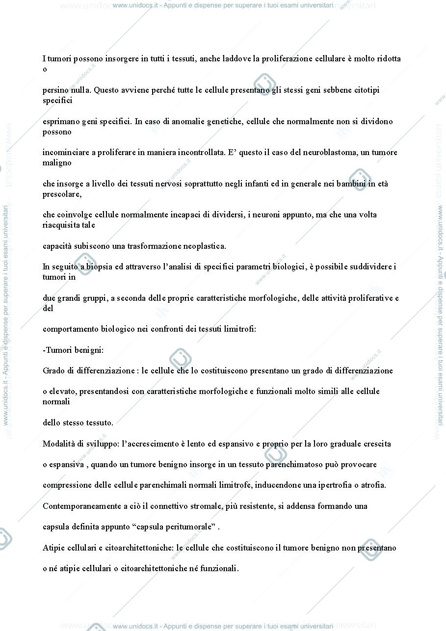 Anteprima pagina 4 — Patologia 1 anno