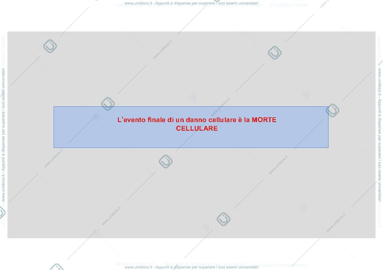 Anteprima pagina 2 — Morte cellulare 