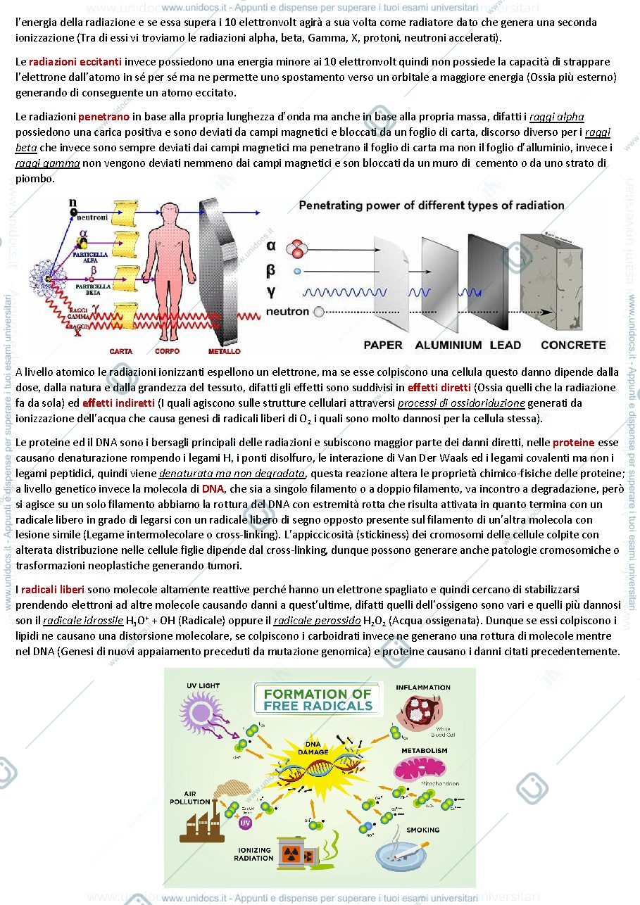 Anteprima pagina 2 — Patologia