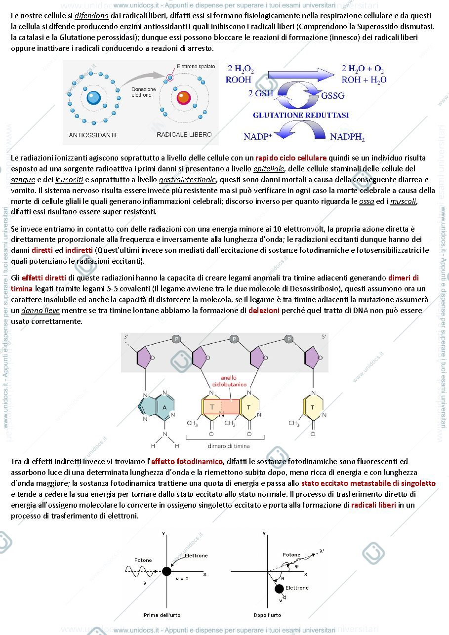 Anteprima pagina 3 — Patologia