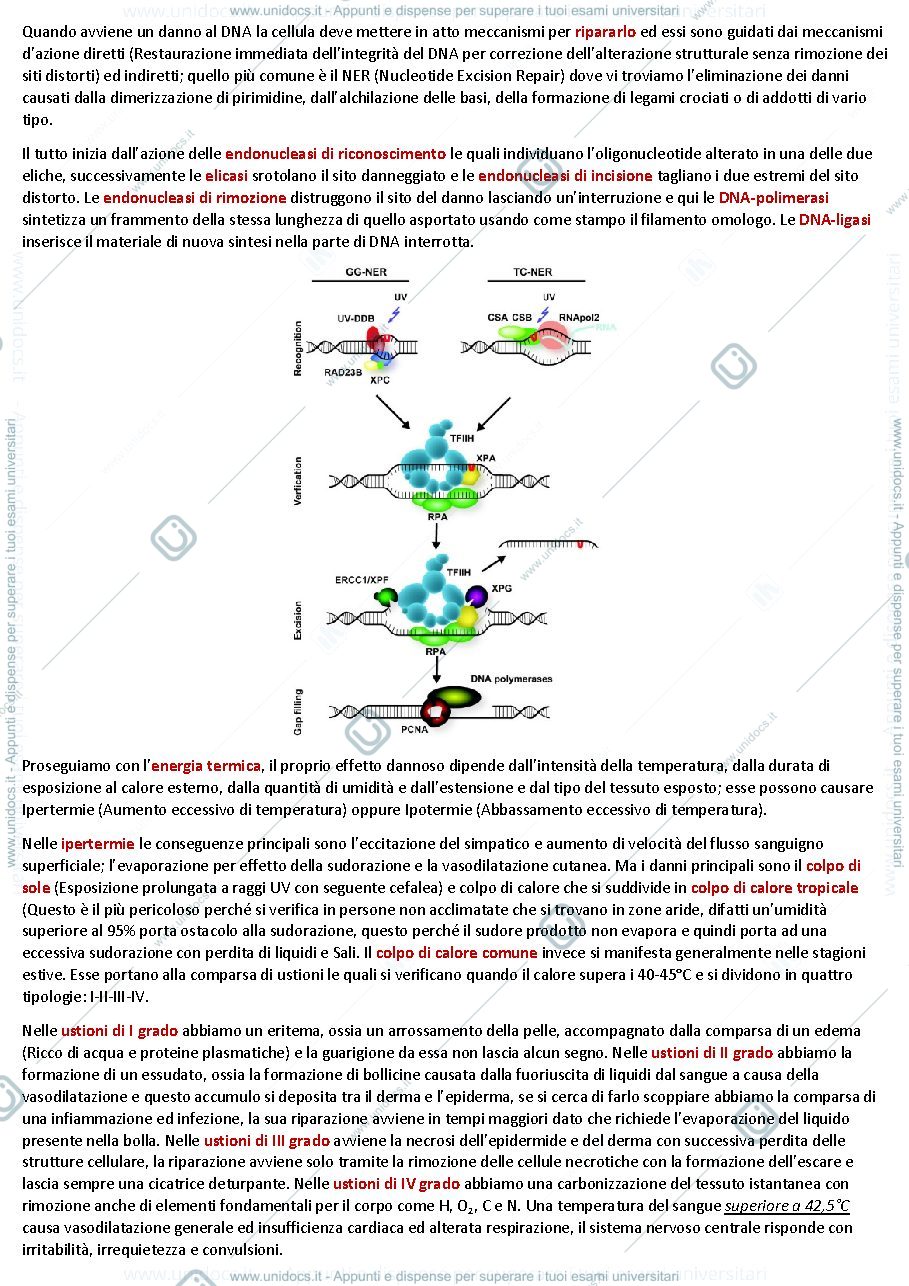 Anteprima pagina 4 — Patologia