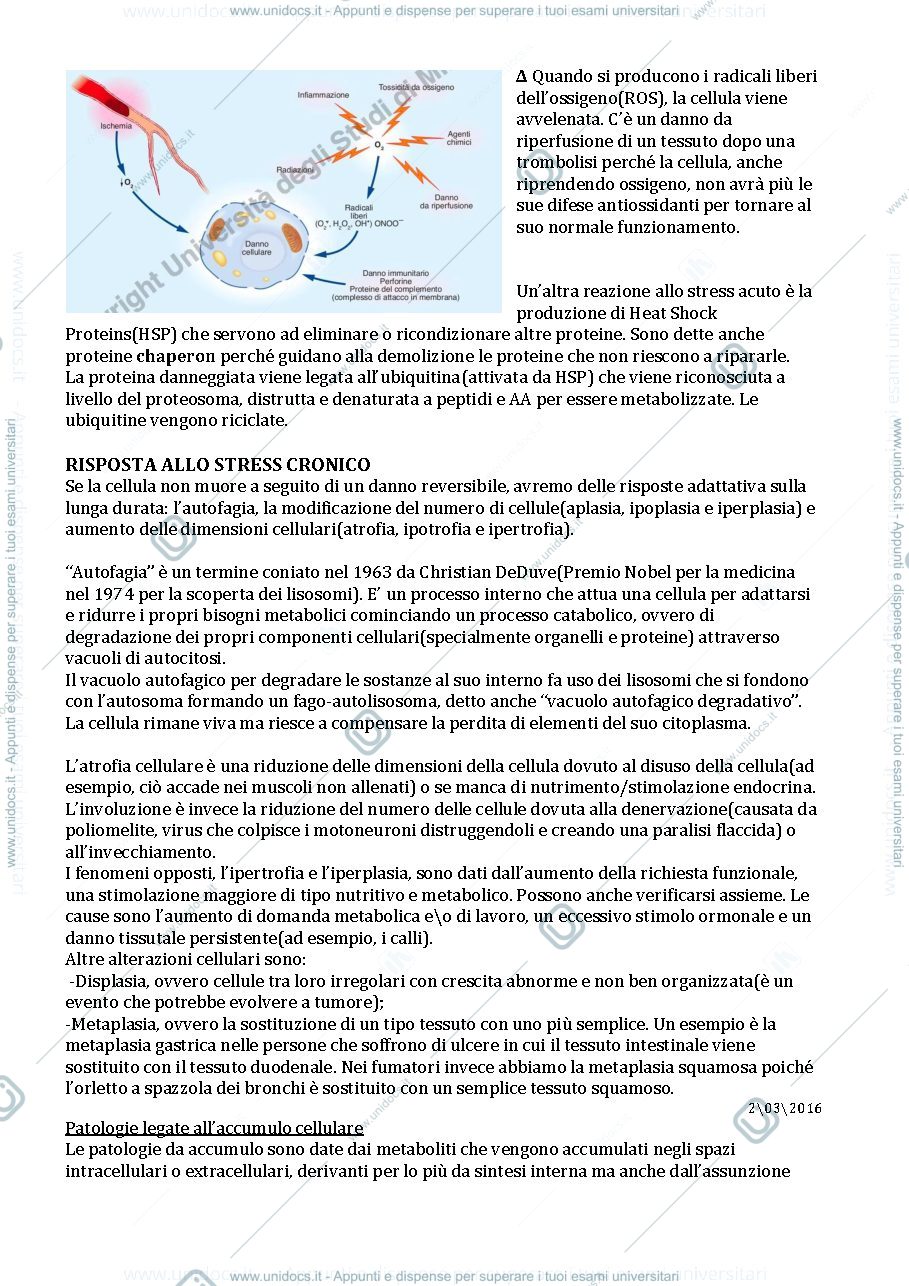 Anteprima pagina 2 — Patologia generale
