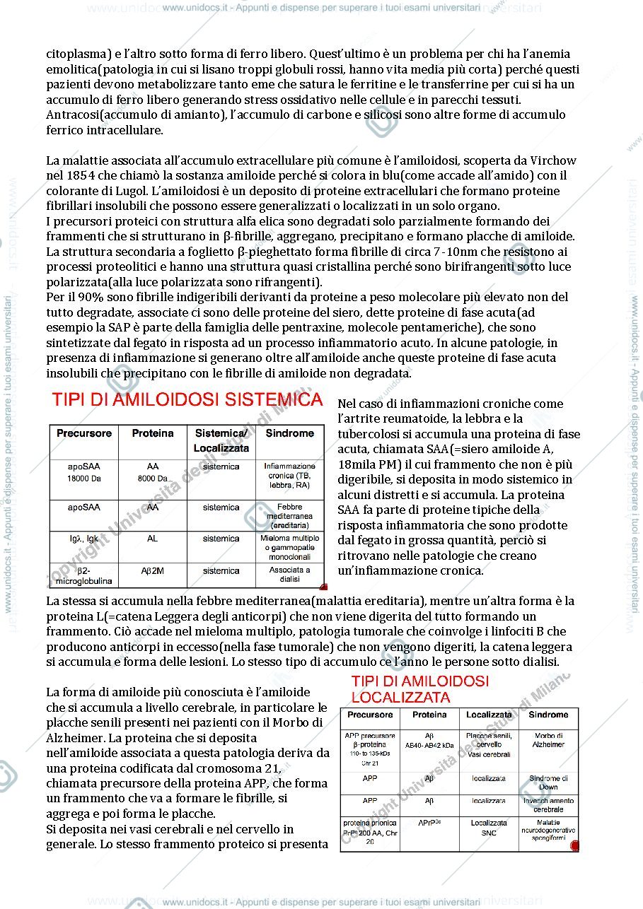 Anteprima pagina 4 — Patologia generale