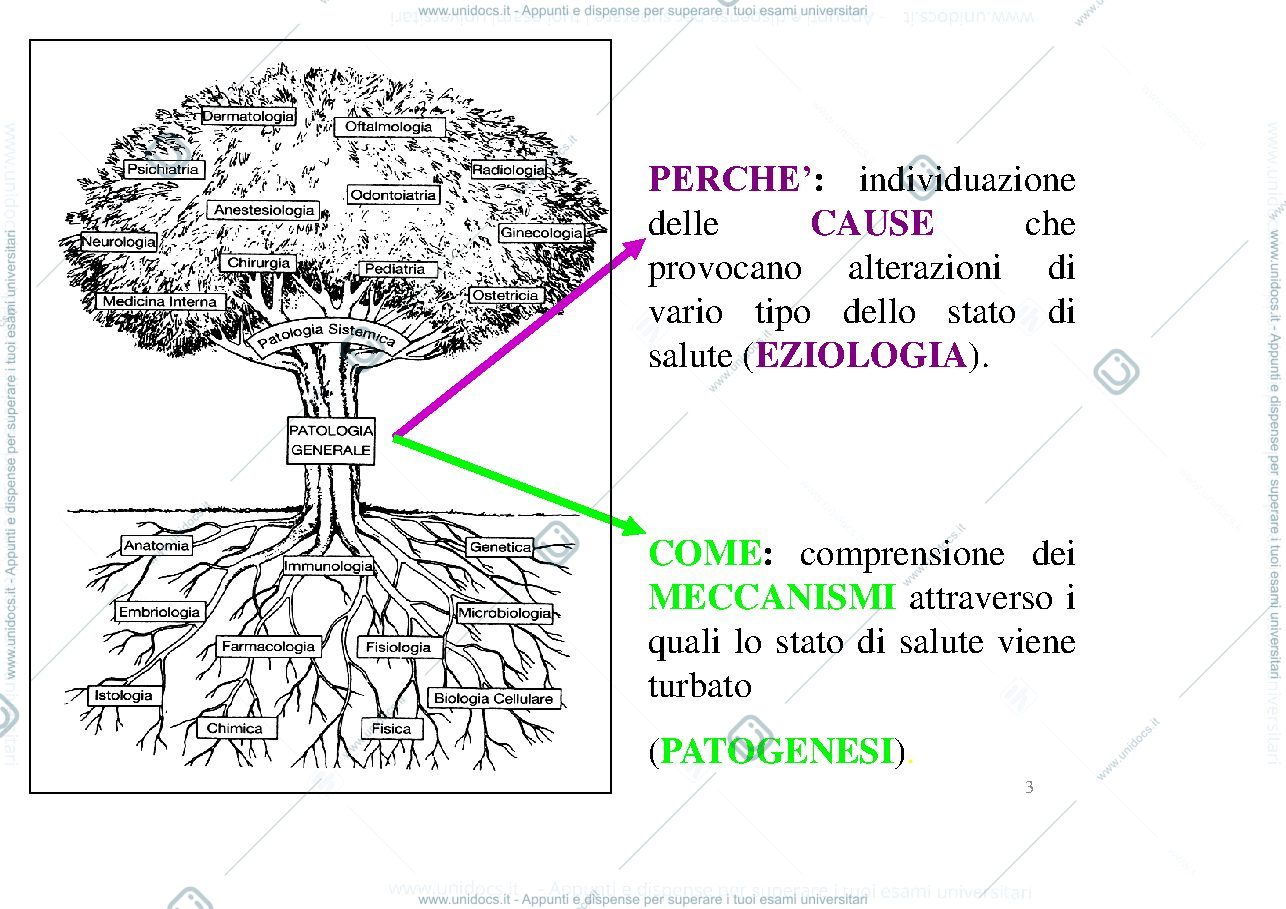 Anteprima pagina 3 — Patologia generale