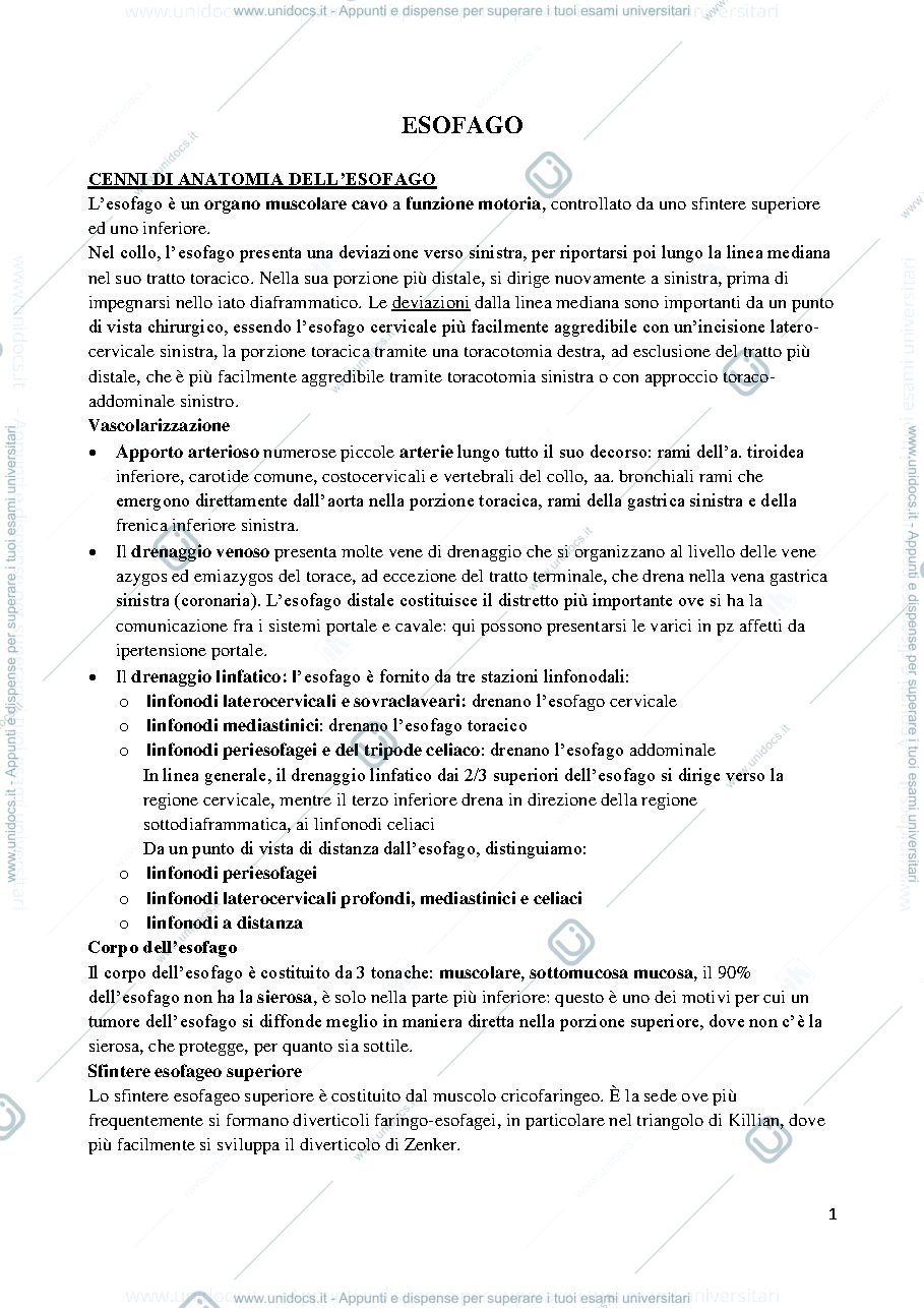 Anteprima pagina 1 — CHIRURGIA MORELLI  (PATOLOGIA SISTEMATICA I) 2019/2020