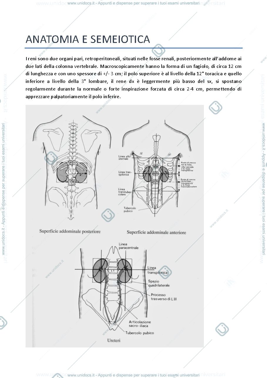Anteprima pagina 1 — semeiotica nefro-urologica