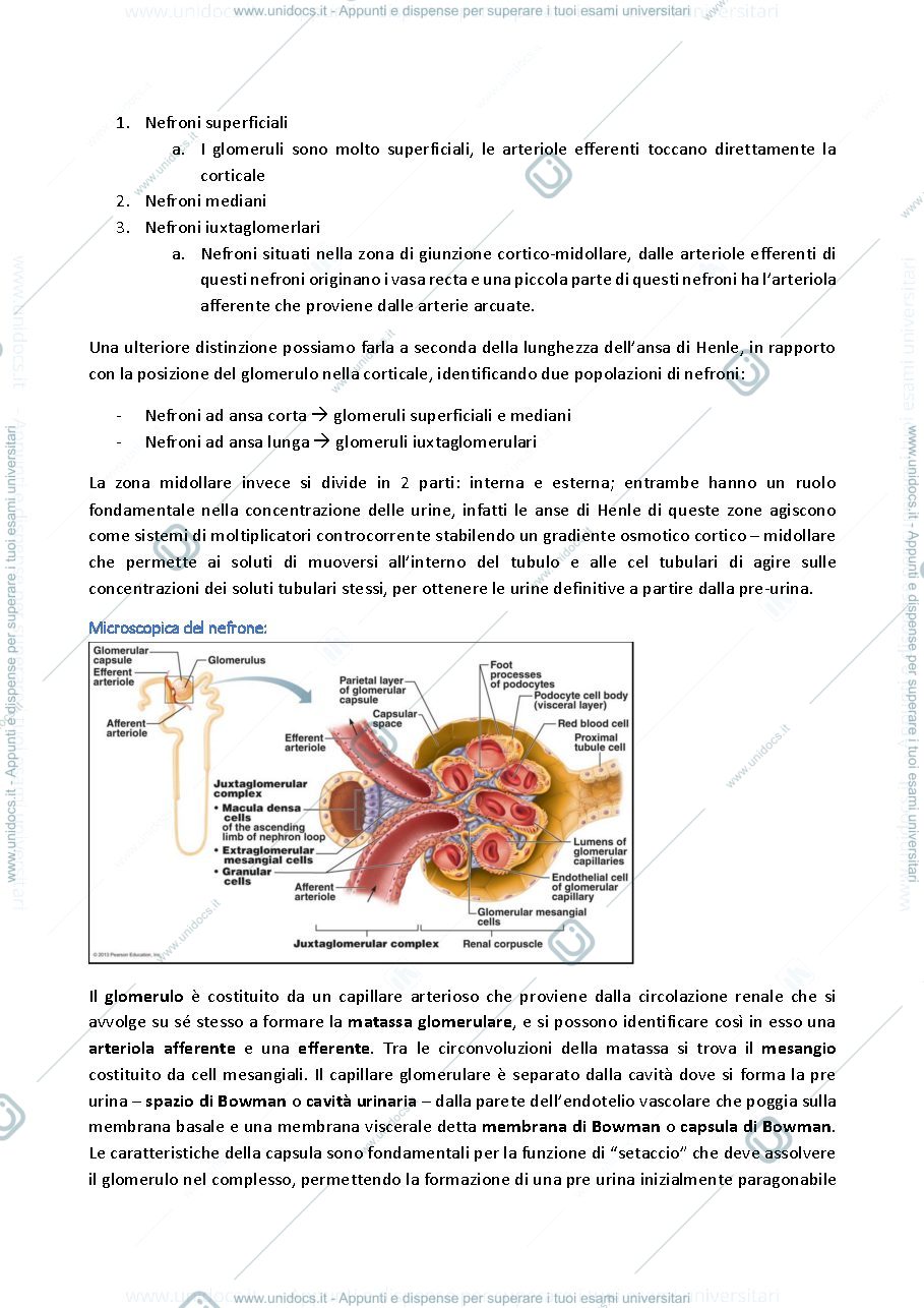 Anteprima pagina 3 — semeiotica nefro-urologica
