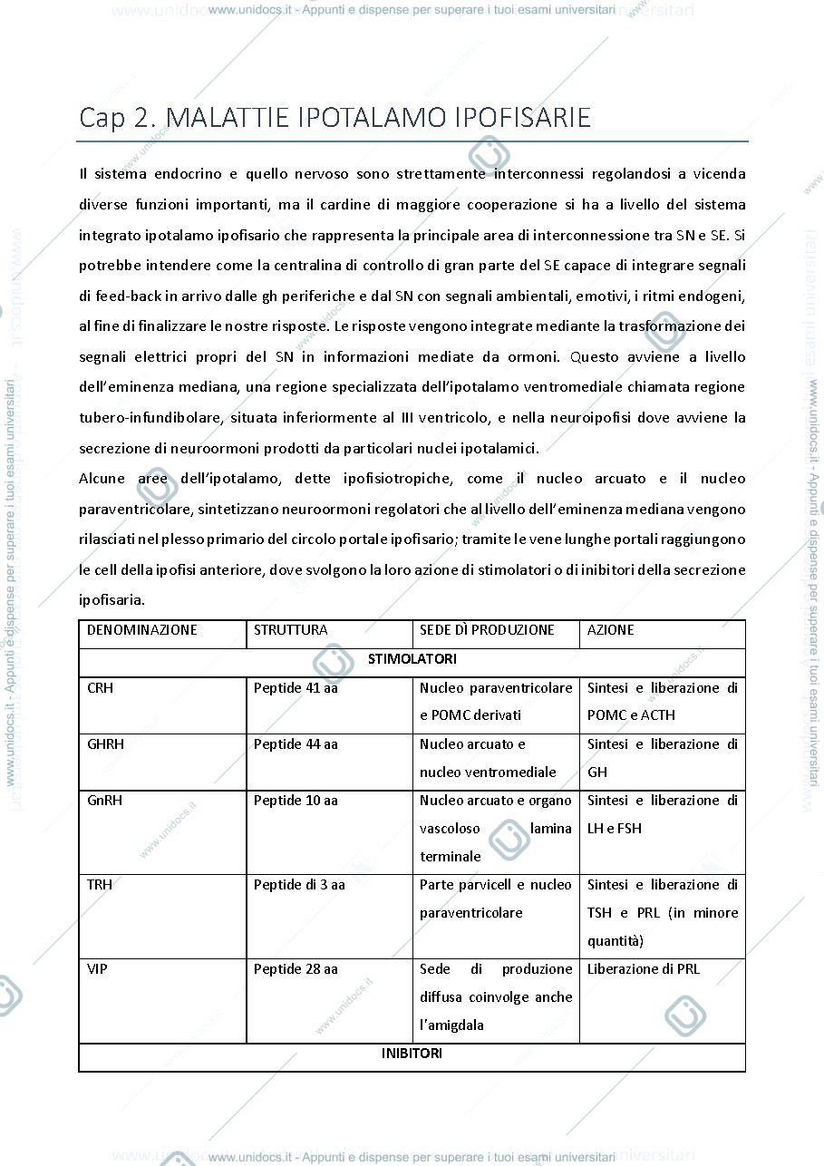 Anteprima pagina 2 — dispensa completa endocrinologia LZ