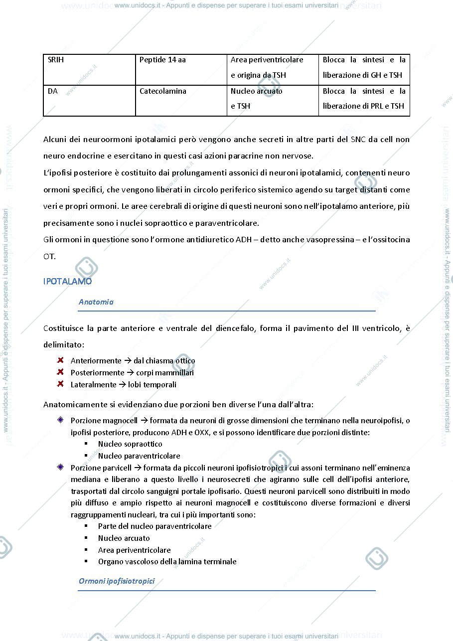 Anteprima pagina 3 — dispensa completa endocrinologia LZ