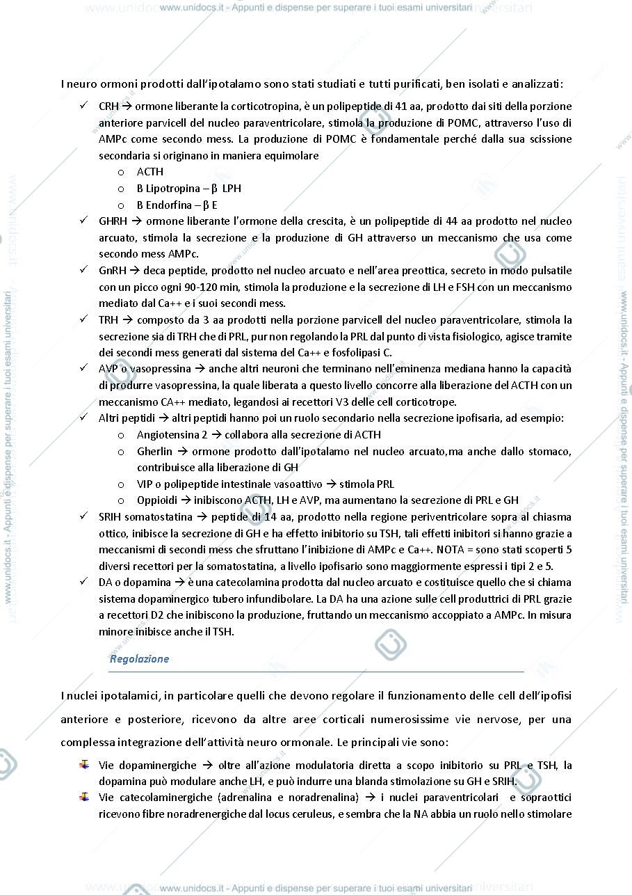 Anteprima pagina 4 — dispensa completa endocrinologia LZ