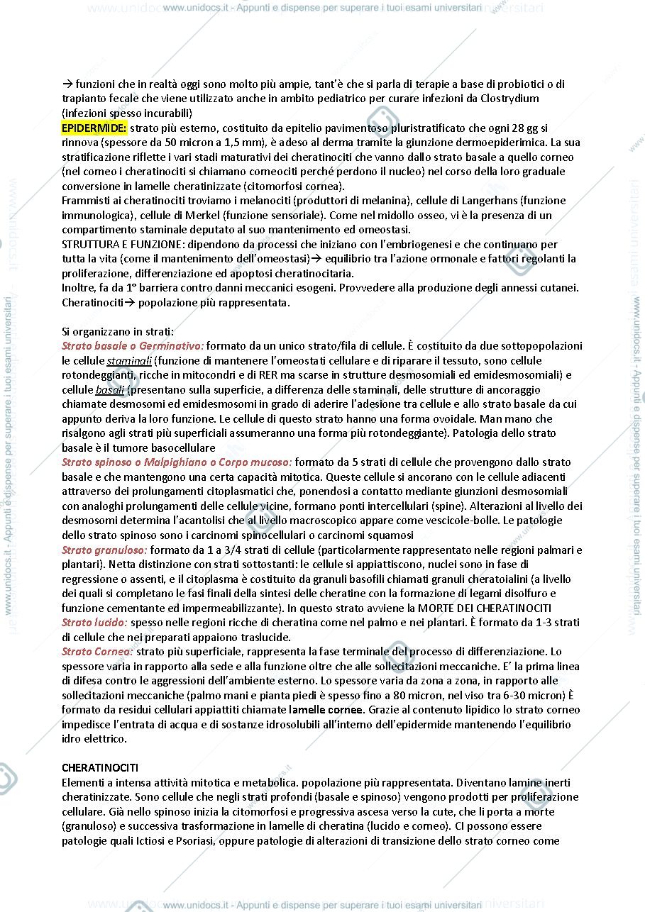 Anteprima pagina 2 — Patologia speciale odontostomatologica e Dermatologia