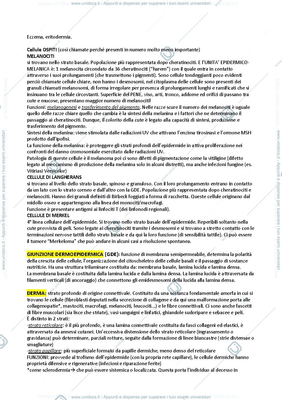 Anteprima pagina 3 — Patologia speciale odontostomatologica e Dermatologia