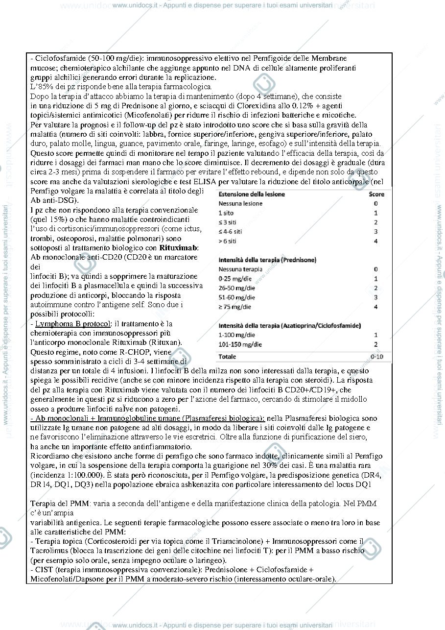 Anteprima pagina 2 — Terapia pemfigo 