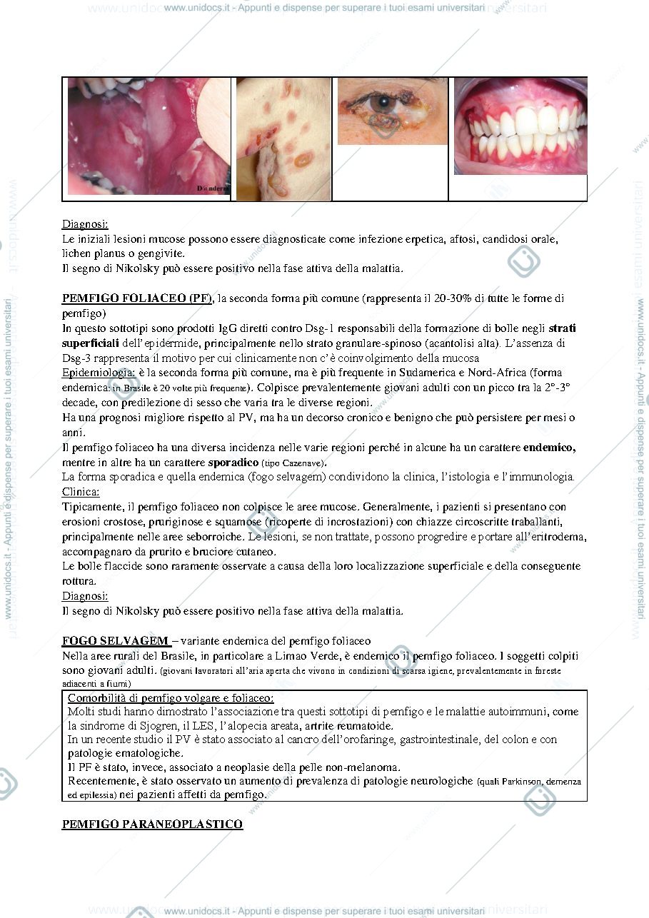 Anteprima pagina 3 — Pemfigo diagnosi e terapia 