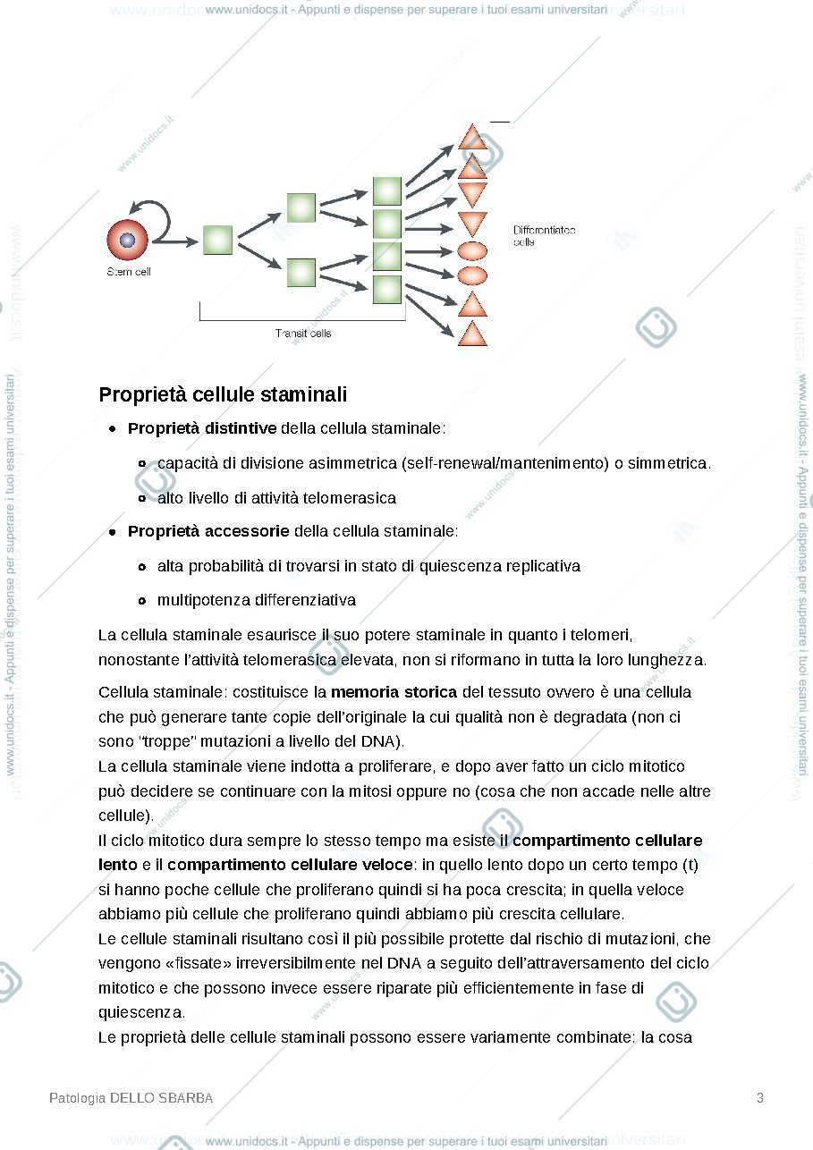 Anteprima pagina 3 — Patologia sperimentale dello sbarba