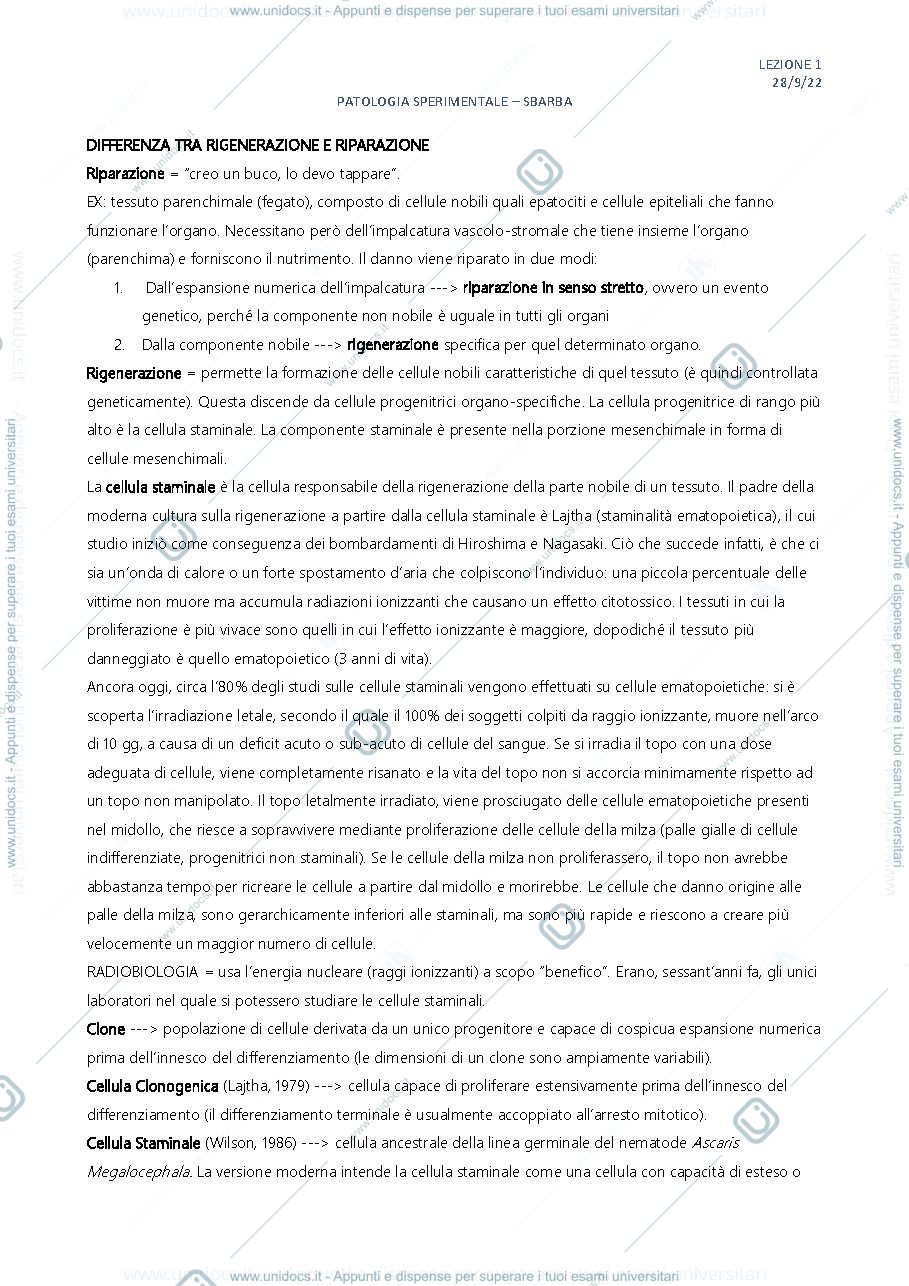 Anteprima pagina 1 — Patologia sperimentale