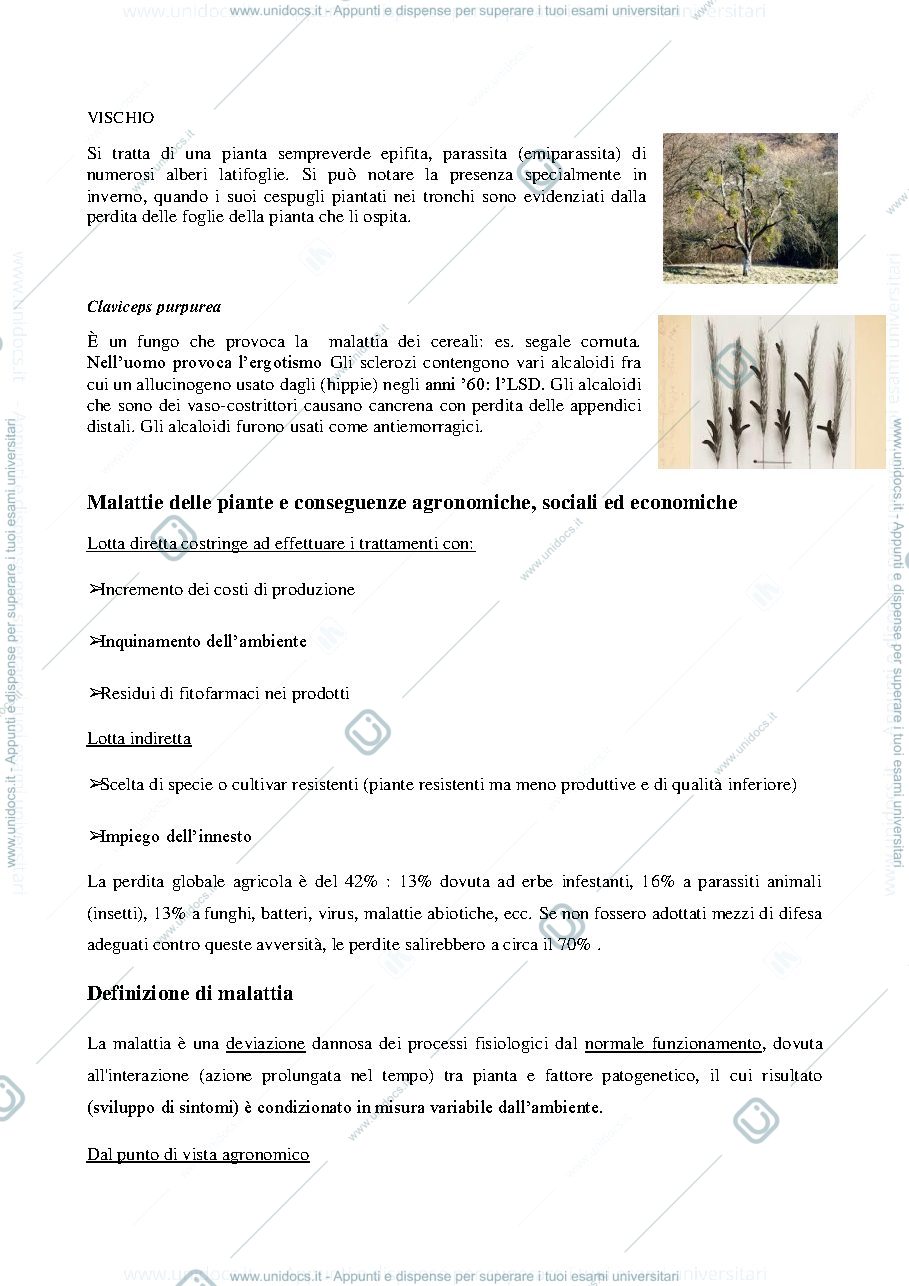 Anteprima pagina 2 — Patologia speciale - ippolito