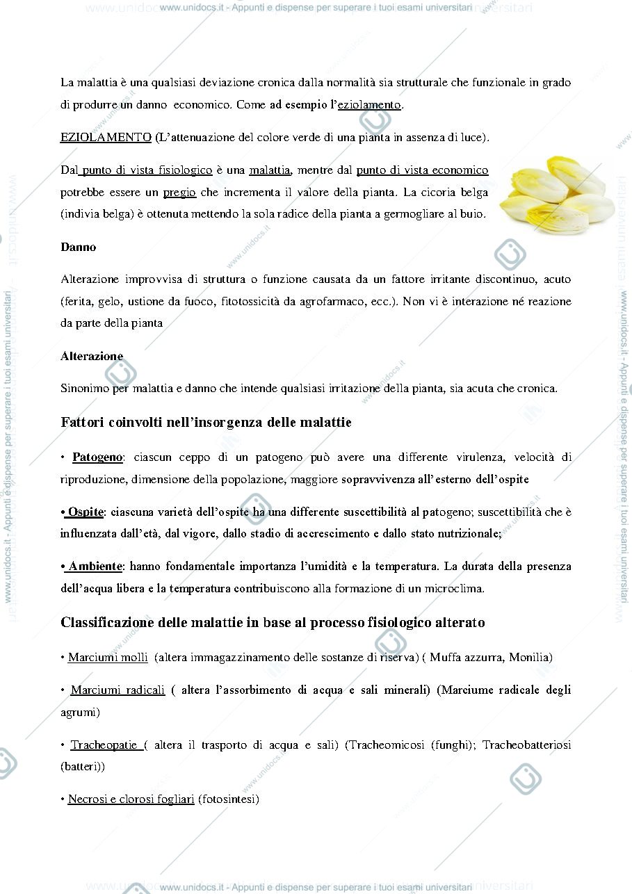 Anteprima pagina 3 — Patologia speciale - ippolito
