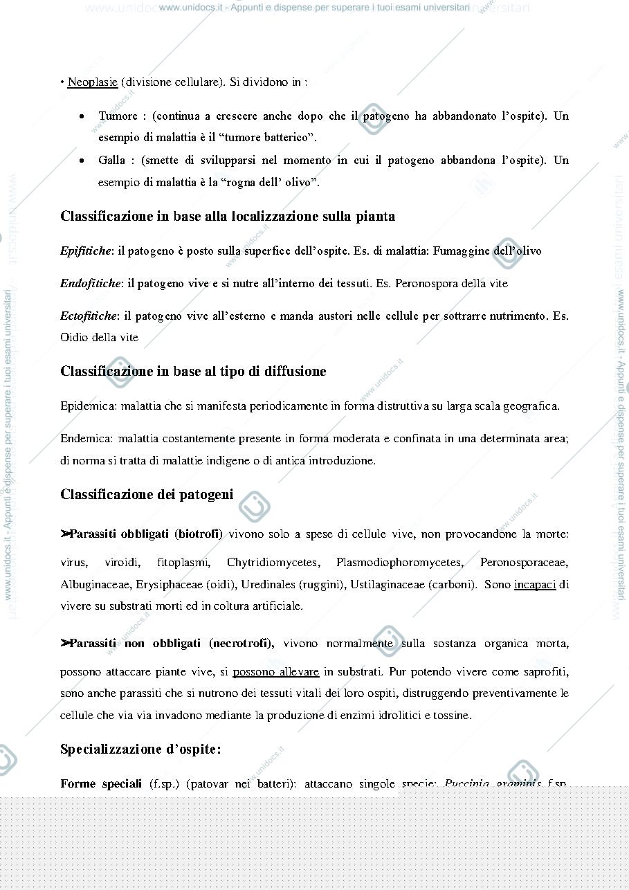 Anteprima pagina 4 — Patologia speciale - ippolito