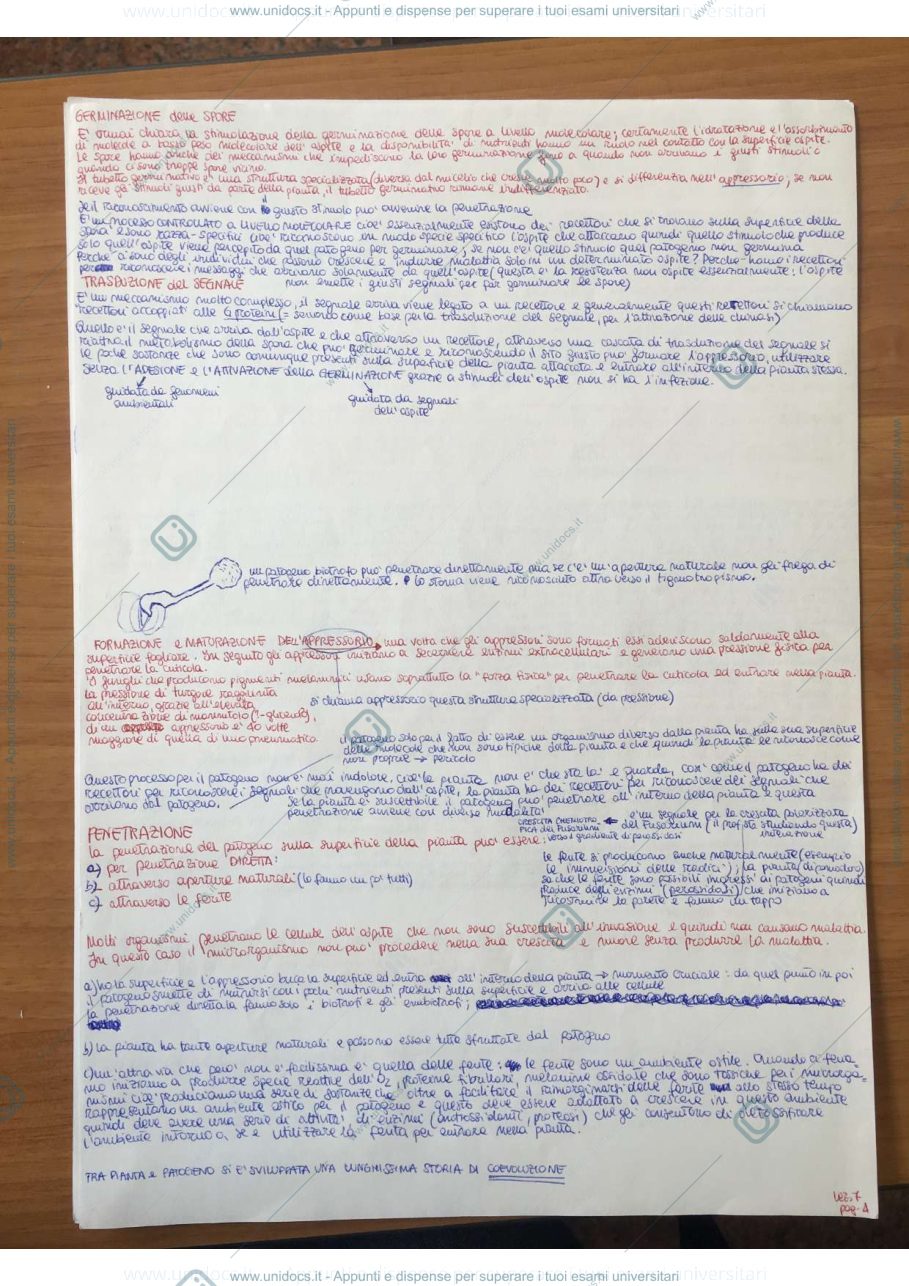 Anteprima pagina 4 — Dispense Patologia vegetale