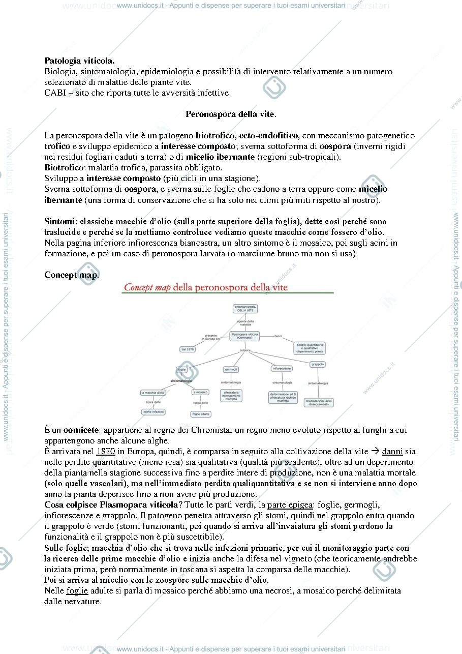 Anteprima pagina 1 — Appunti viticoltura speciale