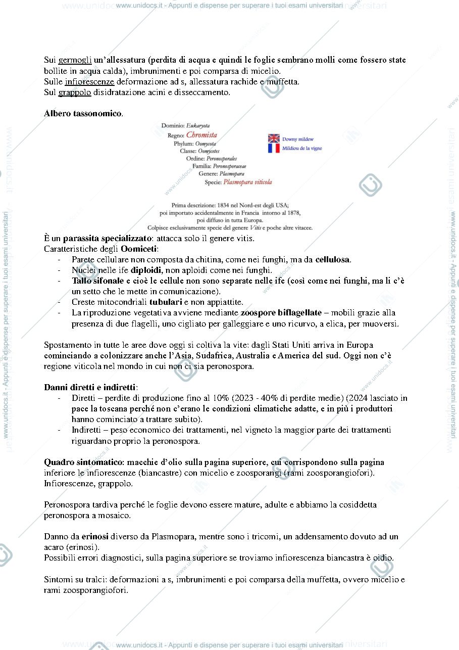 Anteprima pagina 2 — Appunti viticoltura speciale