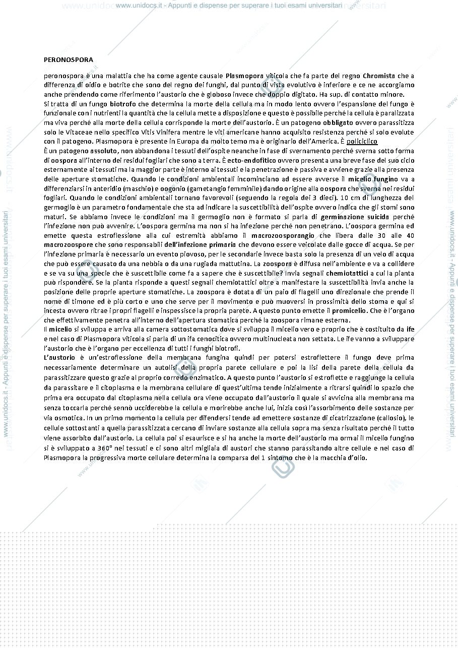 Anteprima pagina 1 — Riassunto delle principali malattie Prof. Nali