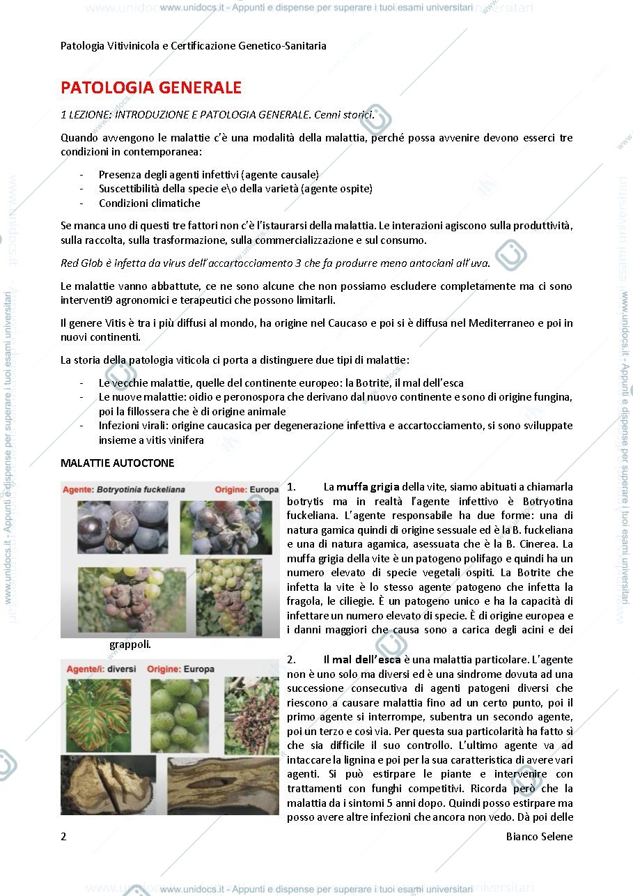 Anteprima pagina 2 — Patologia genetica e certificazione genetico sanitaria