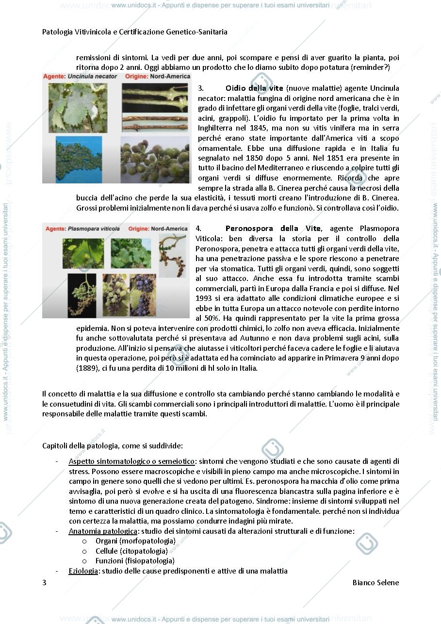 Anteprima pagina 3 — Patologia genetica e certificazione genetico sanitaria