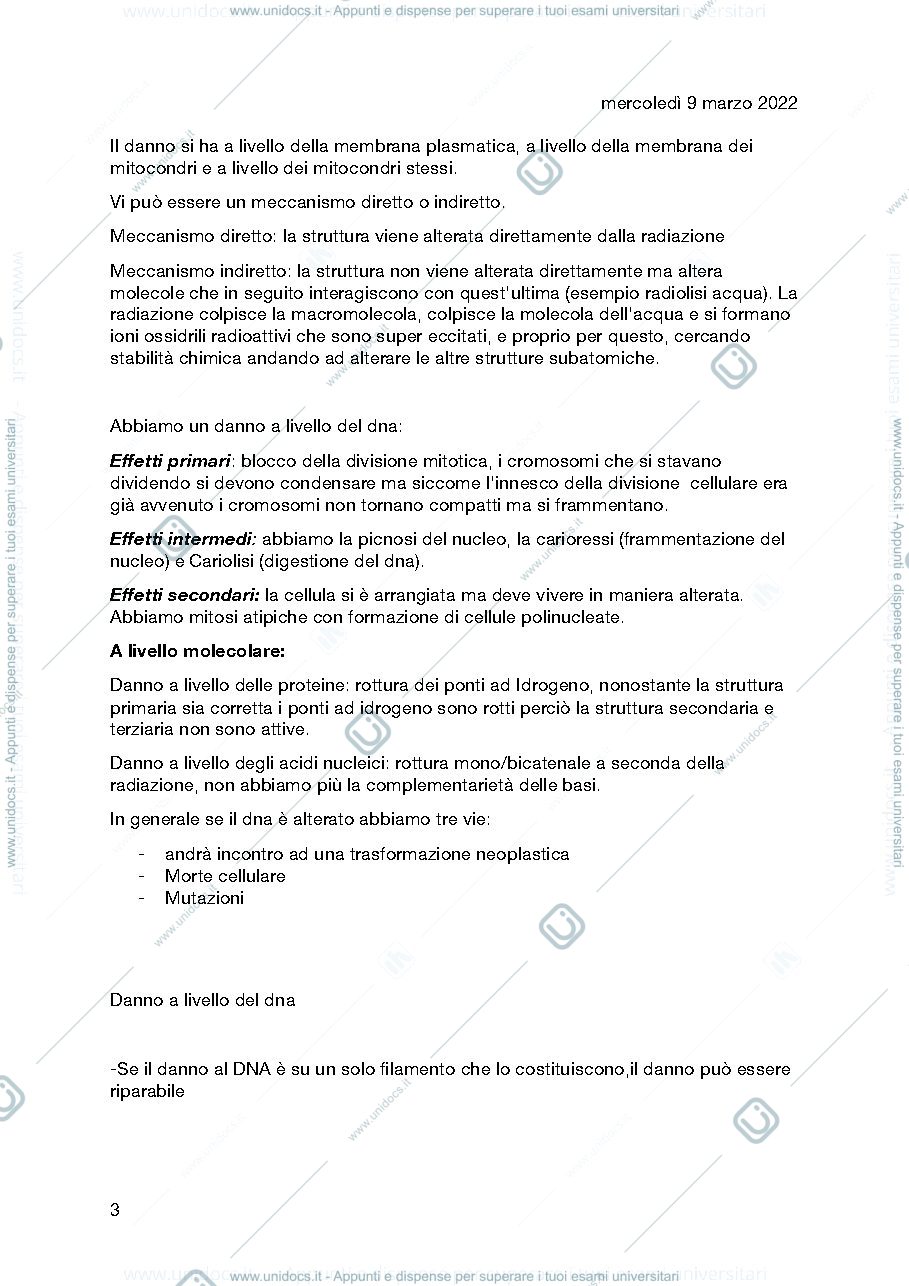 Anteprima pagina 3 — patologia Dalla fazia 