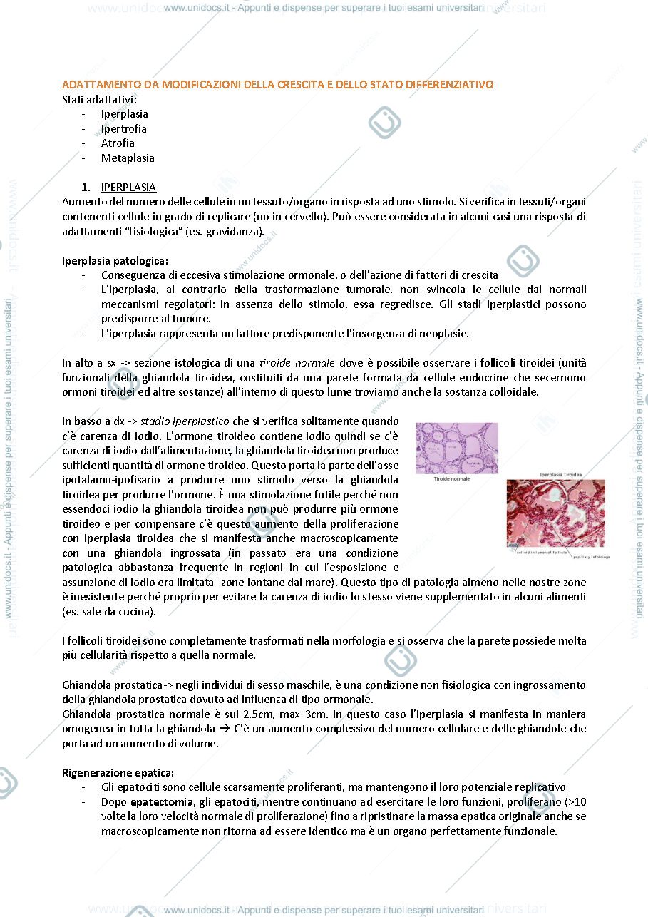 Anteprima pagina 3 — Patologia