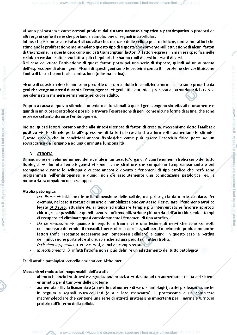 Anteprima pagina 5 — Patologia