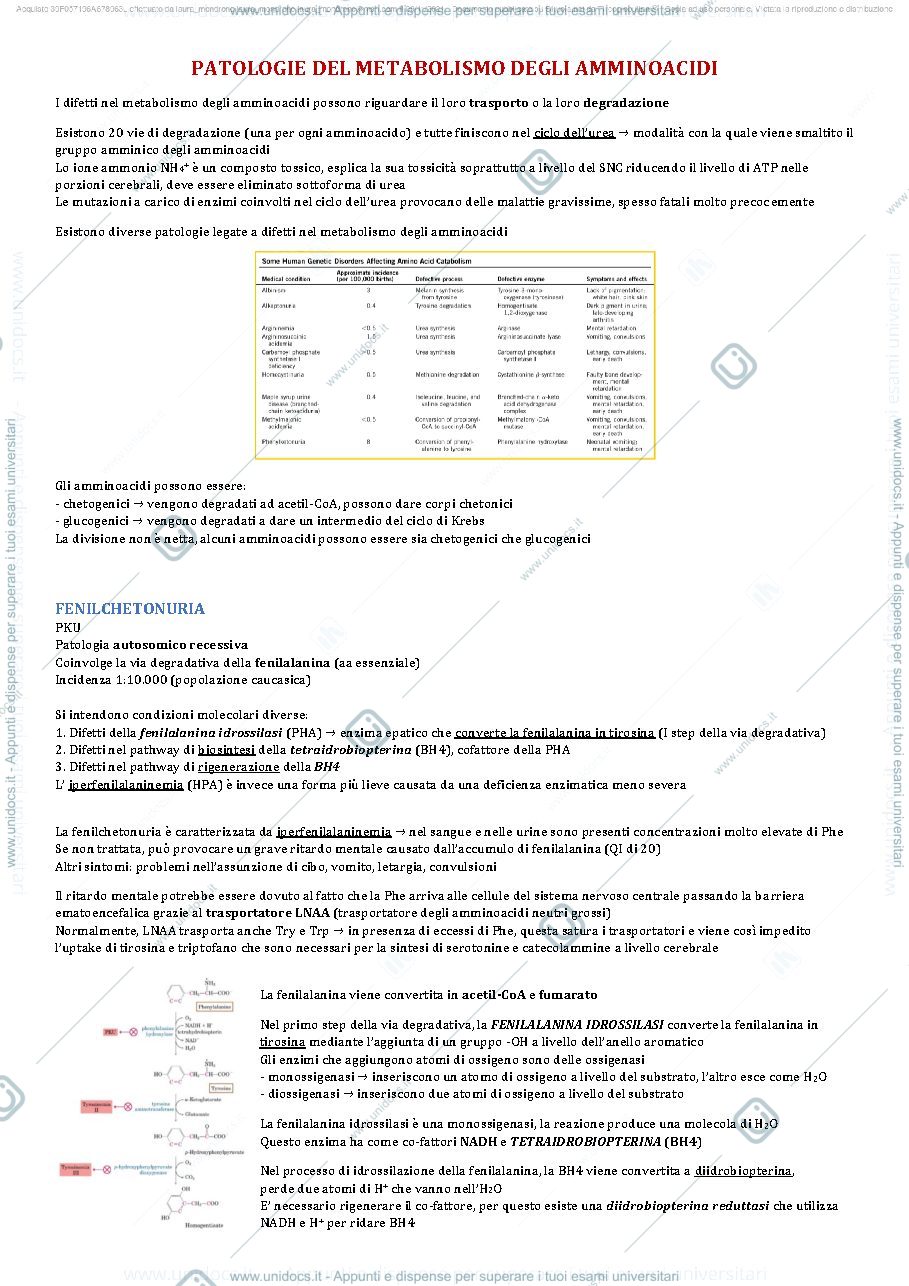 Anteprima pagina 3 — Patologie del metabolismo