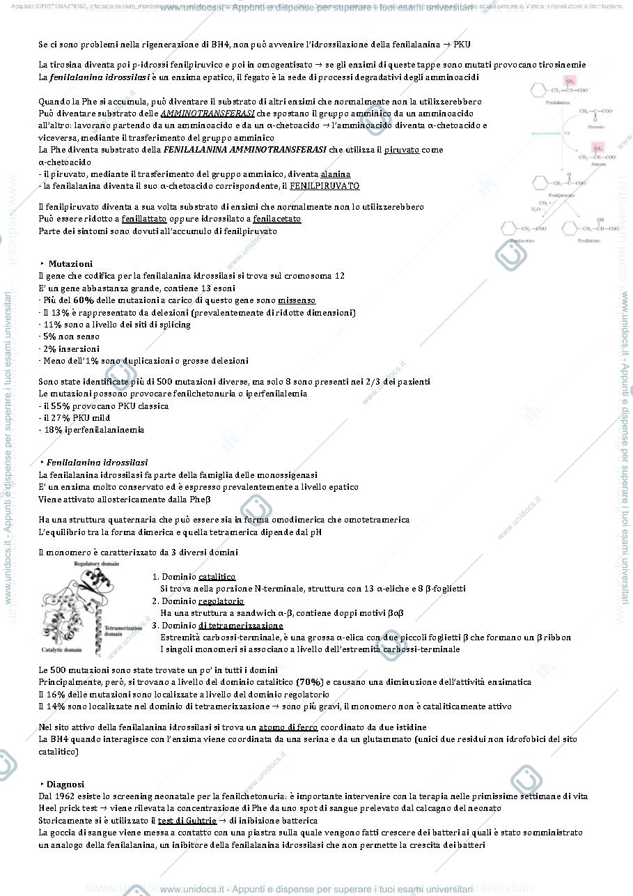 Anteprima pagina 4 — Patologie del metabolismo