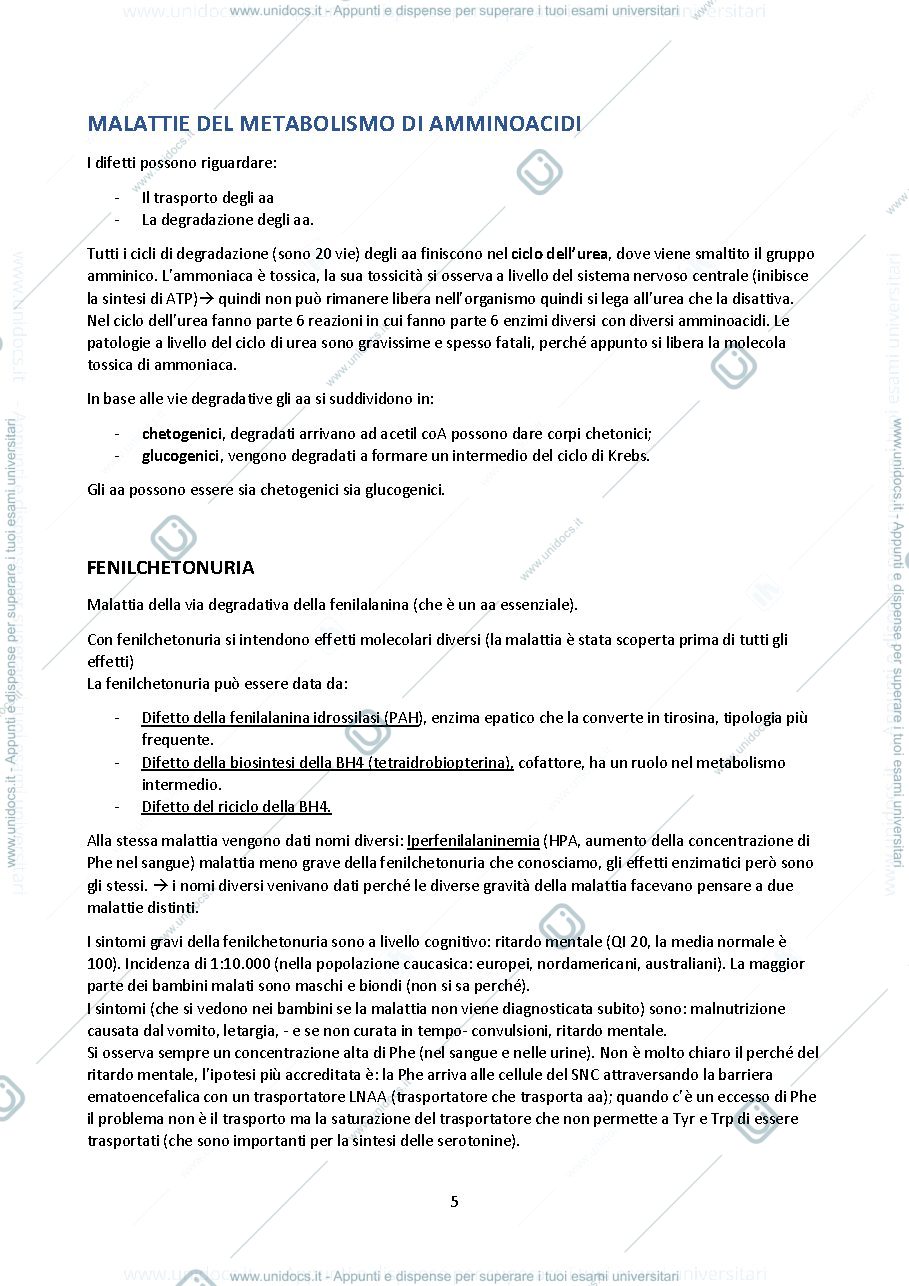 Anteprima pagina 5 — Appunti completi 