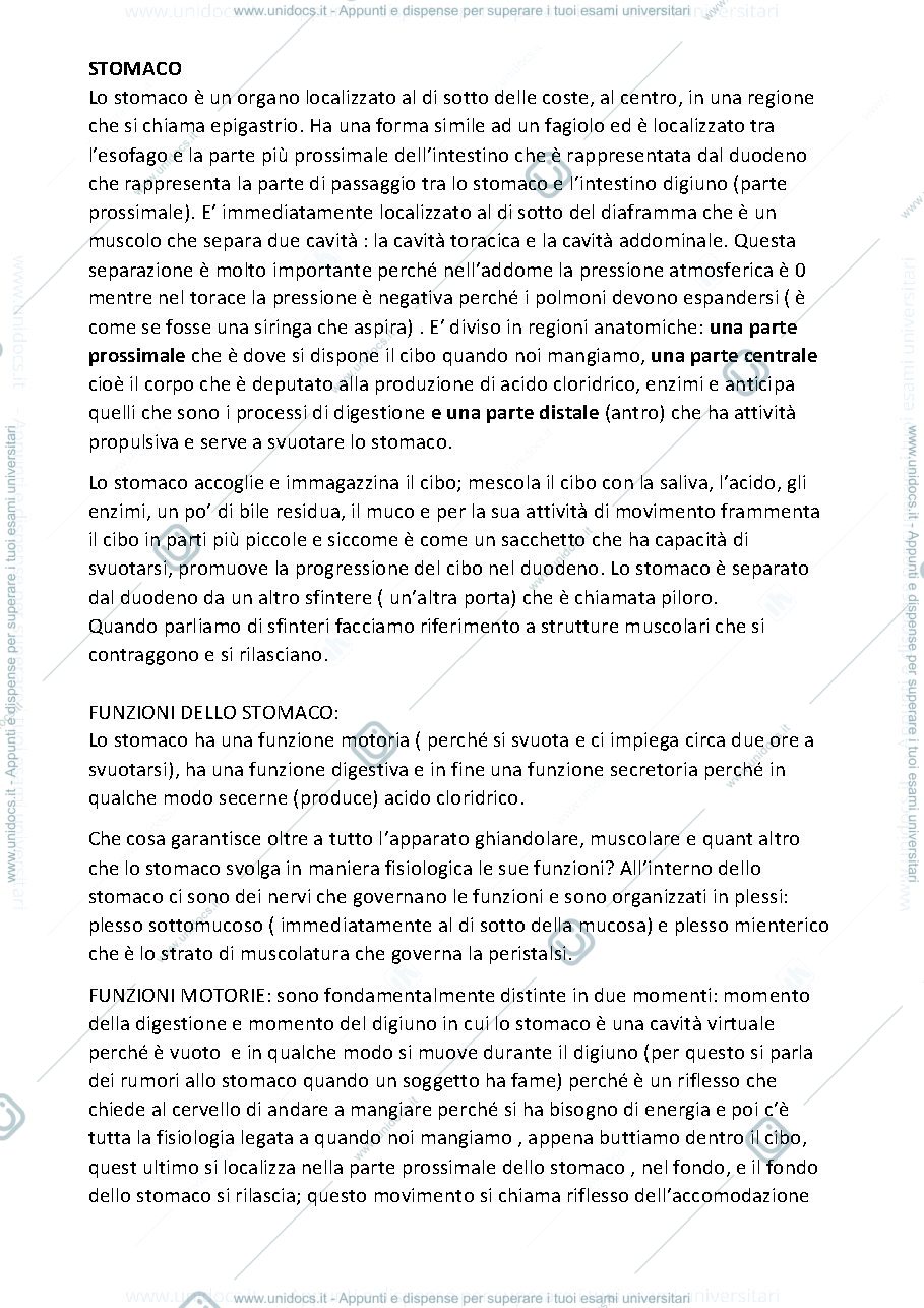 Anteprima pagina 1 — Stomaco 