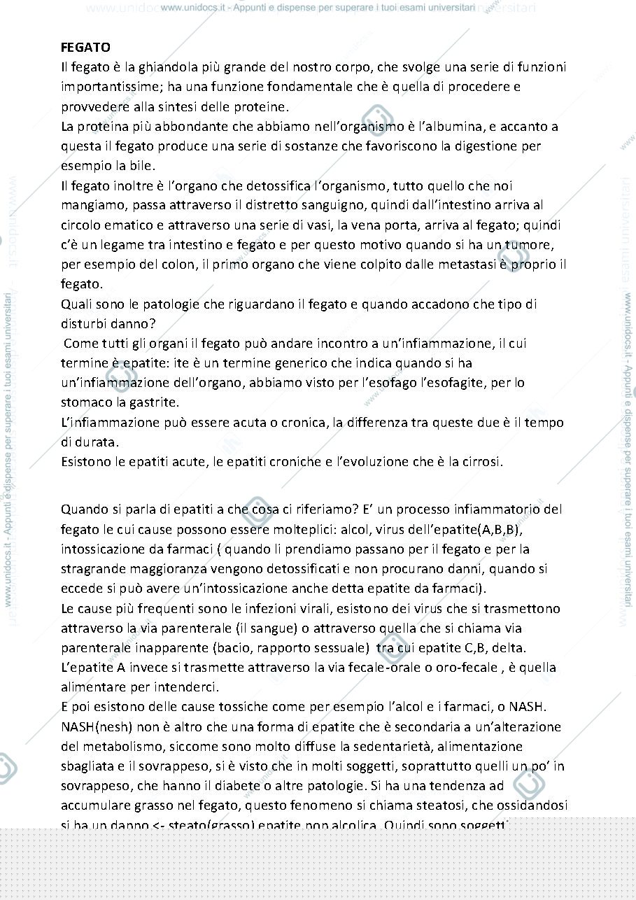 Anteprima pagina 1 — Fegato 