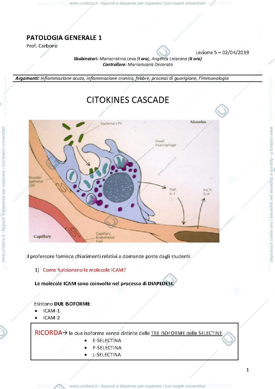 Anteprima pagina 1 — Patologia 