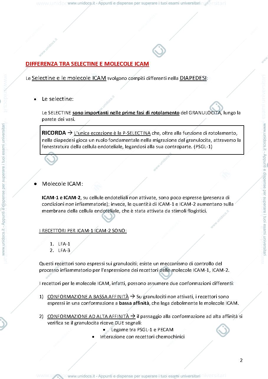 Anteprima pagina 2 — Patologia 