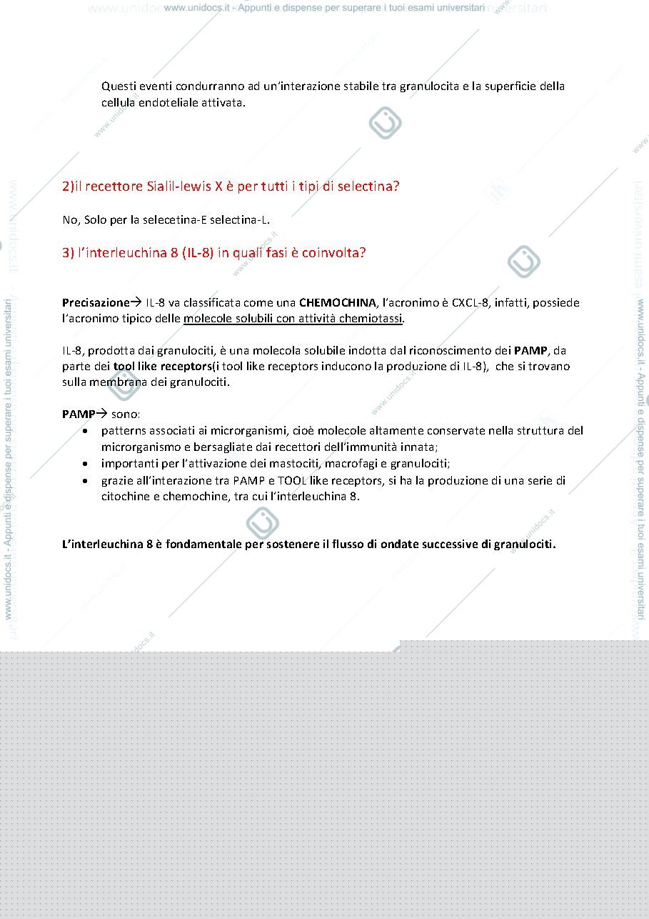 Anteprima pagina 3 — Patologia 