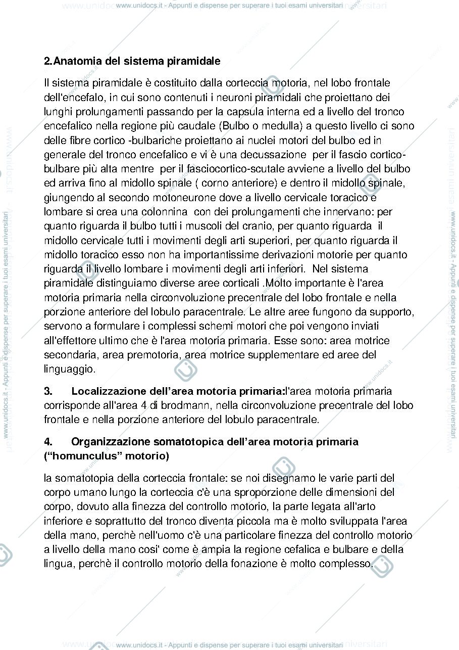 Anteprima pagina 2 — domande neurologia