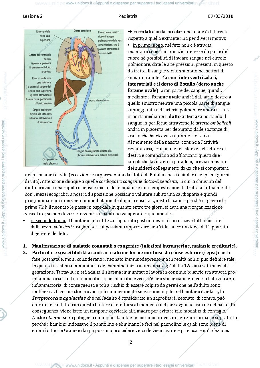 Anteprima pagina 2 — Pediatria 