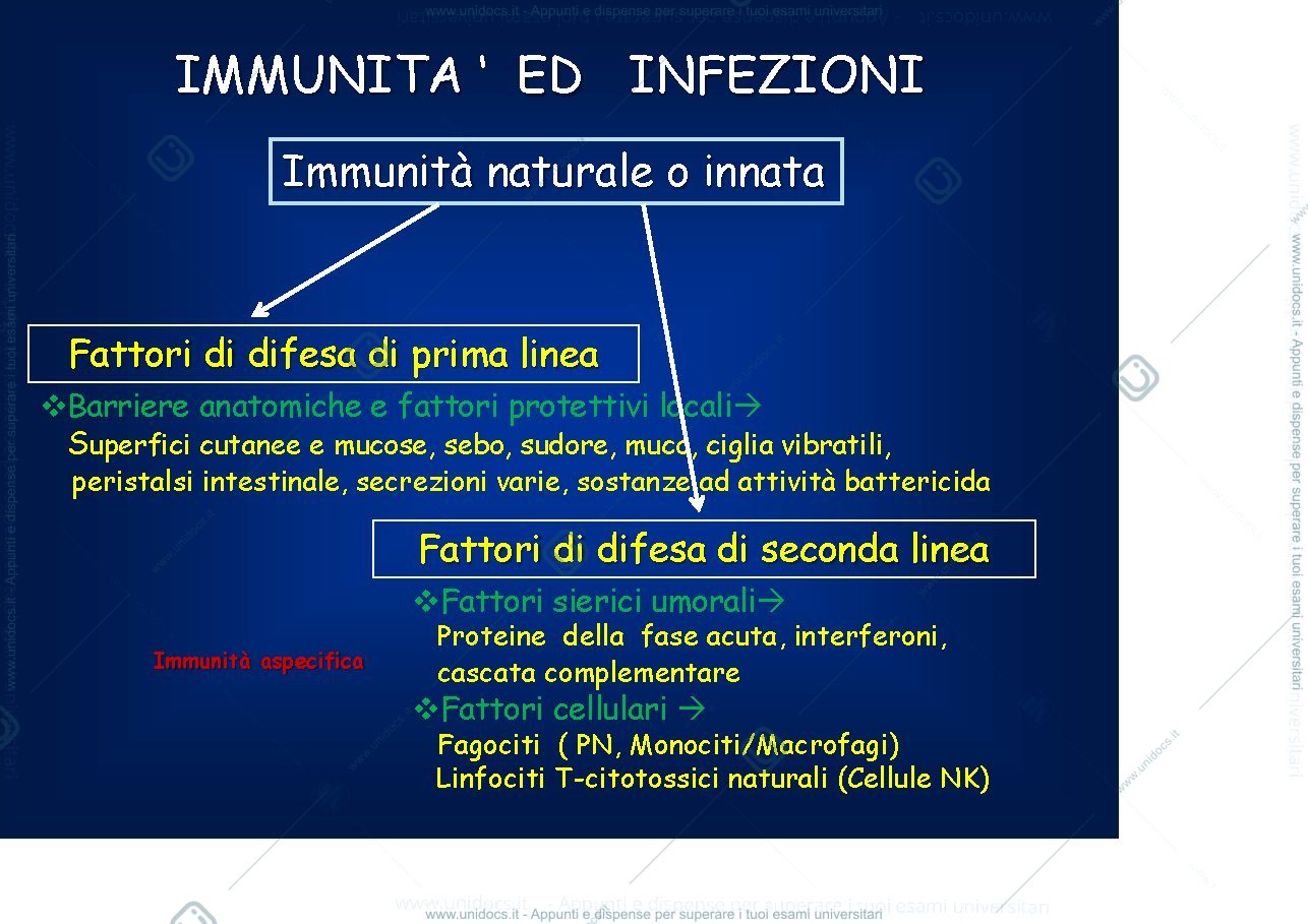 Anteprima pagina 2 — Vaccinazioni