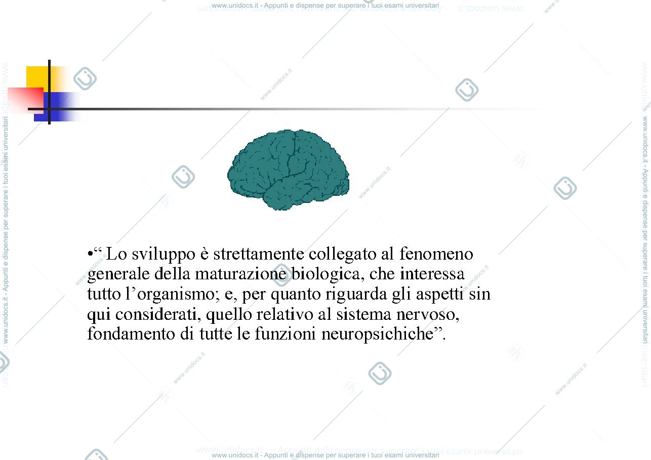 Anteprima pagina 3 — Sviluppo