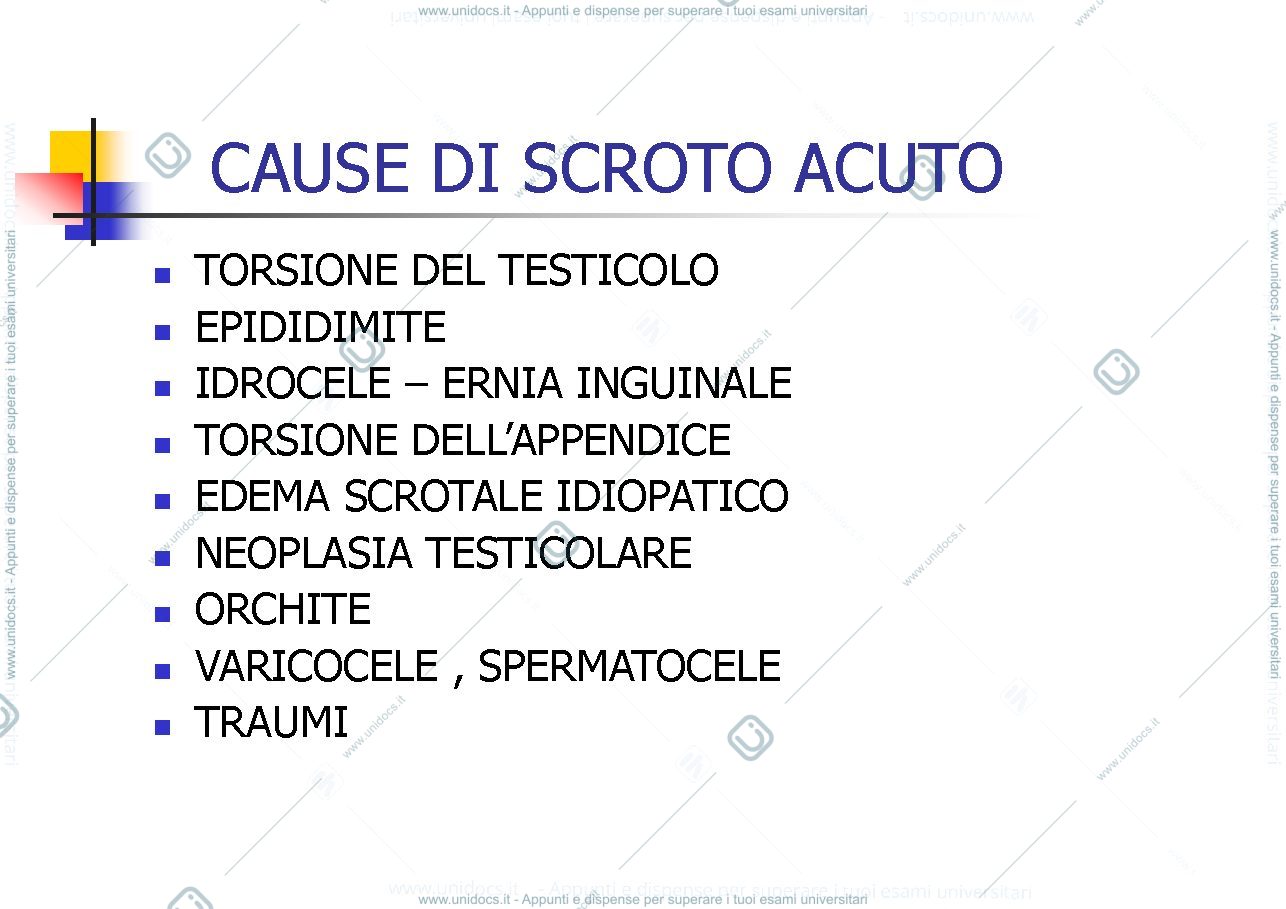 Anteprima pagina 2 — SCROTO ACUTO