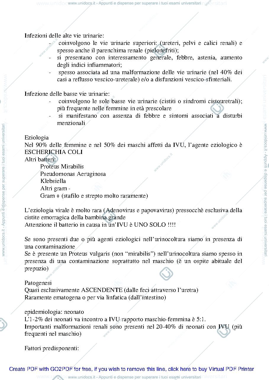 Anteprima pagina 1 — IVU
